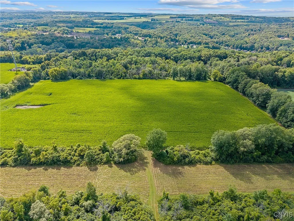 Rockwell Road, Marcellus, New York 13108, Marcellus, New York 13108, ,Land,For Sale,Rockwell Road, Marcellus, New York 13108,S1630774