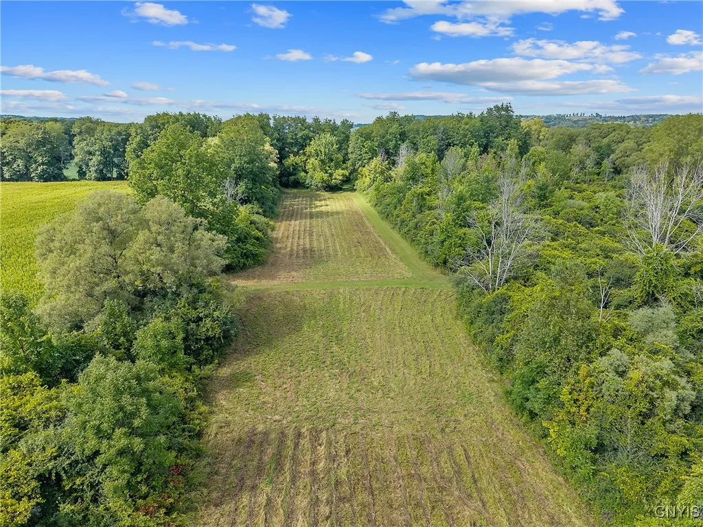 Rockwell Road, Marcellus, New York 13108, Marcellus, New York 13108, ,Land,For Sale,Rockwell Road, Marcellus, New York 13108,S1630774