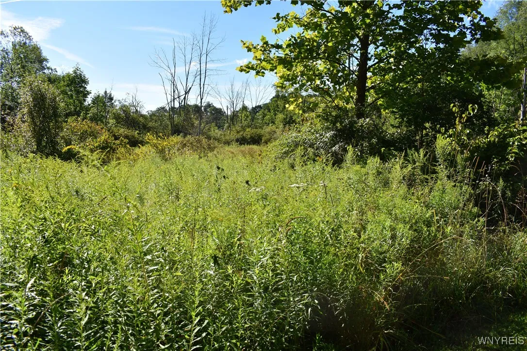 9190 Ball Road, Otto, New York 14719, Otto, New York 14719, ,Land,For Sale,9190 Ball Road, Otto, New York 14719,B1632965