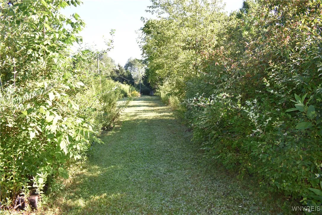 9190 Ball Road, Otto, New York 14719, Otto, New York 14719, ,Land,For Sale,9190 Ball Road, Otto, New York 14719,B1632965