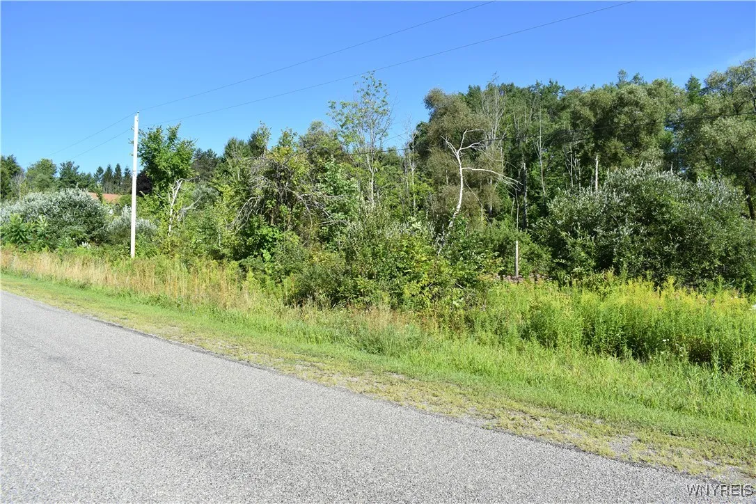 9190 Ball Road, Otto, New York 14719, Otto, New York 14719, ,Land,For Sale,9190 Ball Road, Otto, New York 14719,B1632965