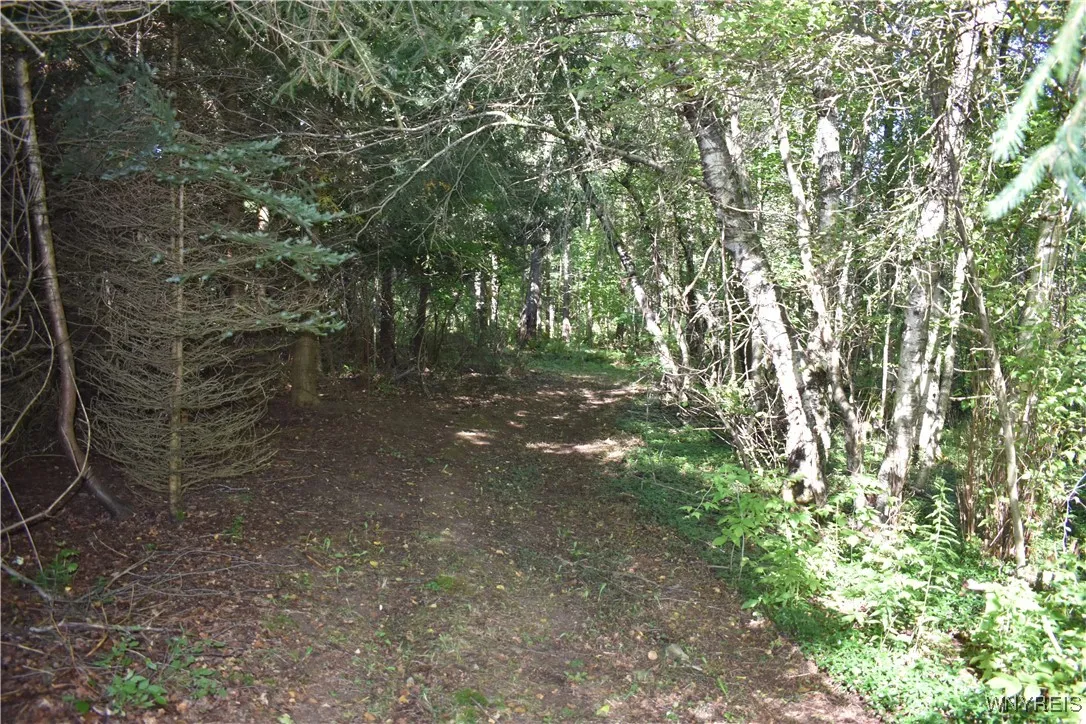 9190 Ball Road, Otto, New York 14719, Otto, New York 14719, ,Land,For Sale,9190 Ball Road, Otto, New York 14719,B1632965