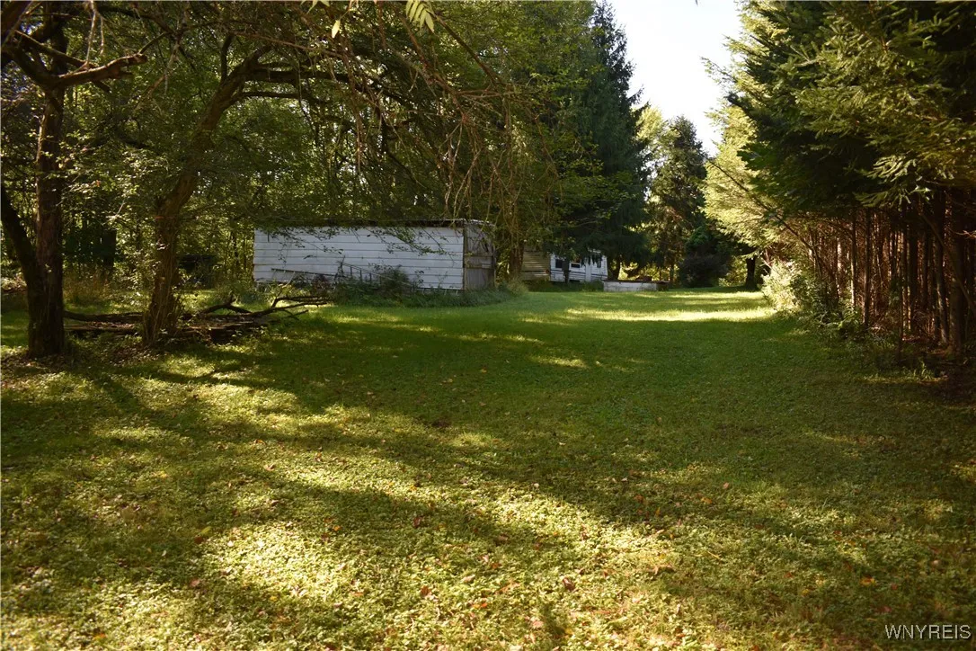 other shed