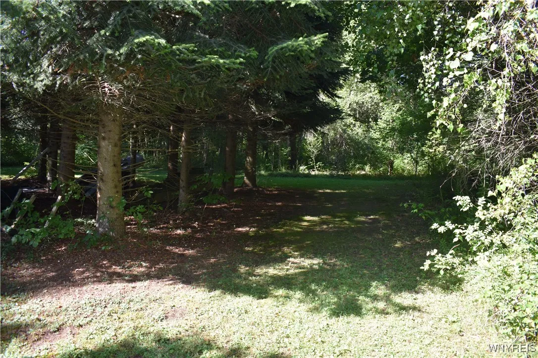 9190 Ball Road, Otto, New York 14719, Otto, New York 14719, ,Land,For Sale,9190 Ball Road, Otto, New York 14719,B1632965