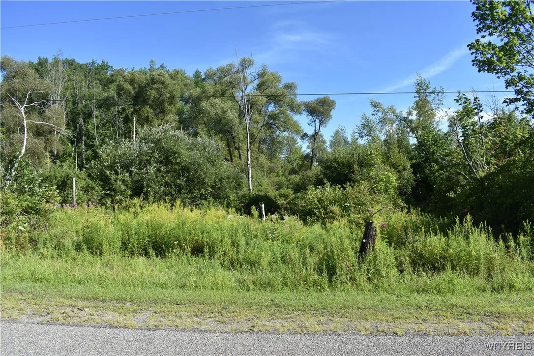 9190 Ball Road, Otto, New York 14719, Otto, New York 14719, ,Land,For Sale,9190 Ball Road, Otto, New York 14719,B1632965