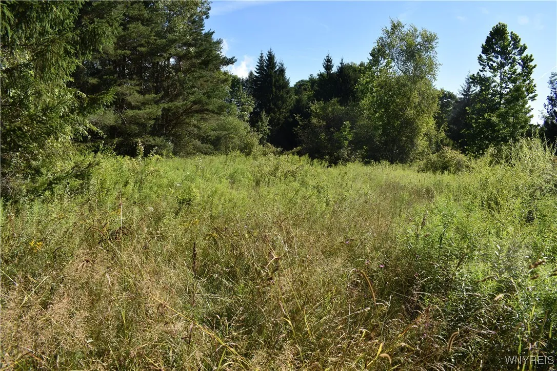 9190 Ball Road, Otto, New York 14719, Otto, New York 14719, ,Land,For Sale,9190 Ball Road, Otto, New York 14719,B1632965