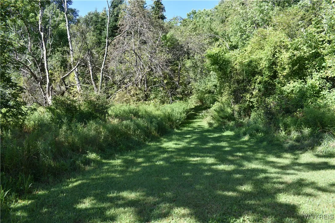 9190 Ball Road, Otto, New York 14719, Otto, New York 14719, ,Land,For Sale,9190 Ball Road, Otto, New York 14719,B1632965