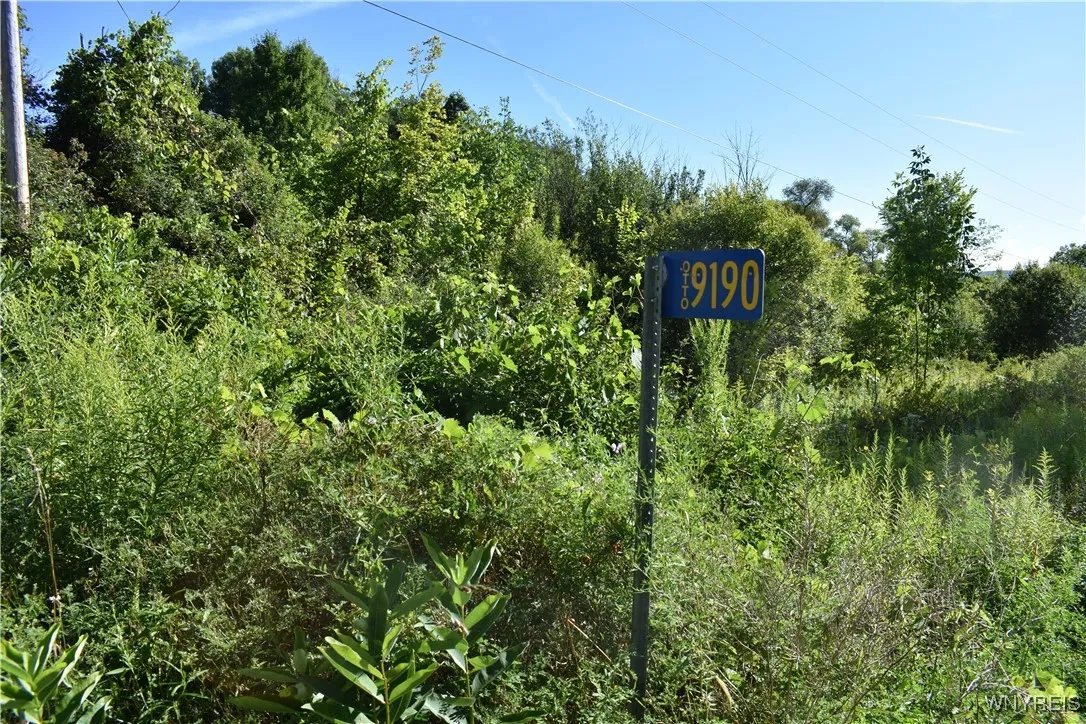 Address near driveway