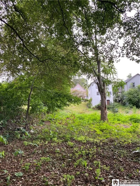 396 Falconer Street, Jamestown, New York 14701, Jamestown, New York 14701, ,Land,For Sale,396 Falconer Street, Jamestown, New York 14701,R1631149