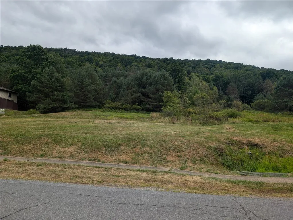 702 East Mill Street, Port Allegany Boro, Pennsylv, Port Allegany Boro, Pennsylvania 16743, ,Land,For Sale,702 East Mill Street, Port Allegany Boro, Pennsylv,R1633017