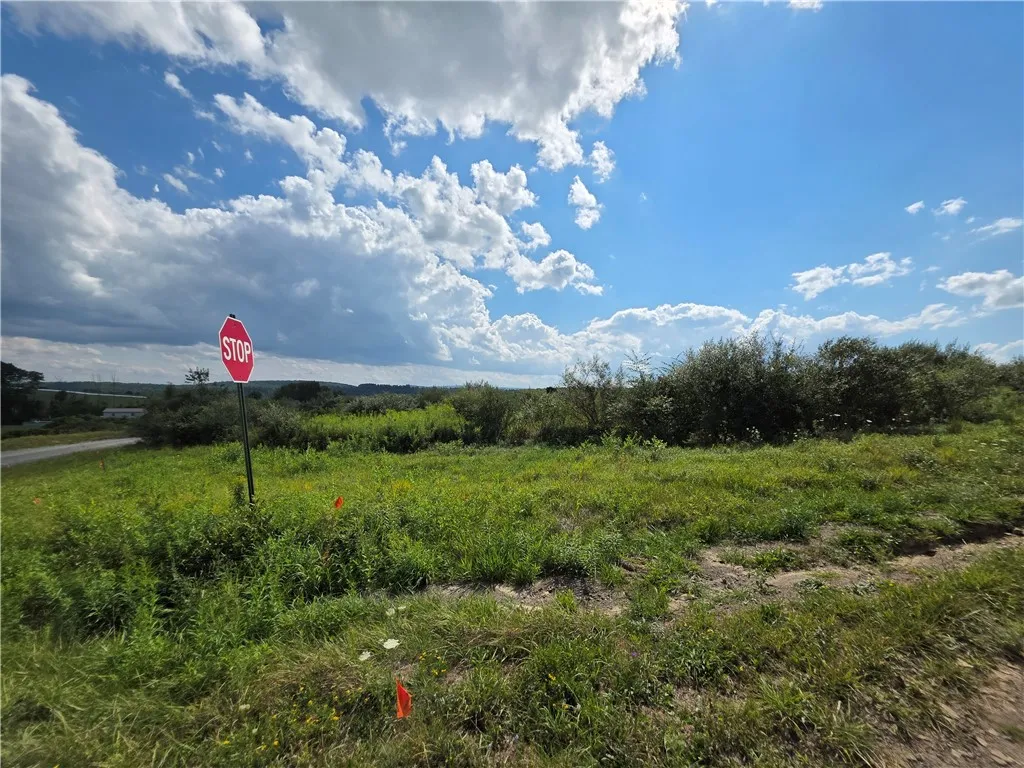 12078 Kelly Hill Road, Caton, New York 14871, Caton, New York 14871, ,Land,For Sale,12078 Kelly Hill Road, Caton, New York 14871,0,R1633003