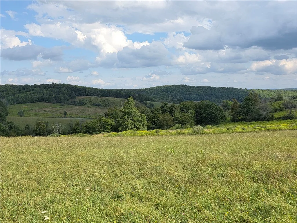 12078 Kelly Hill Road, Caton, New York 14871, Caton, New York 14871, ,Land,For Sale,12078 Kelly Hill Road, Caton, New York 14871,0,R1633003