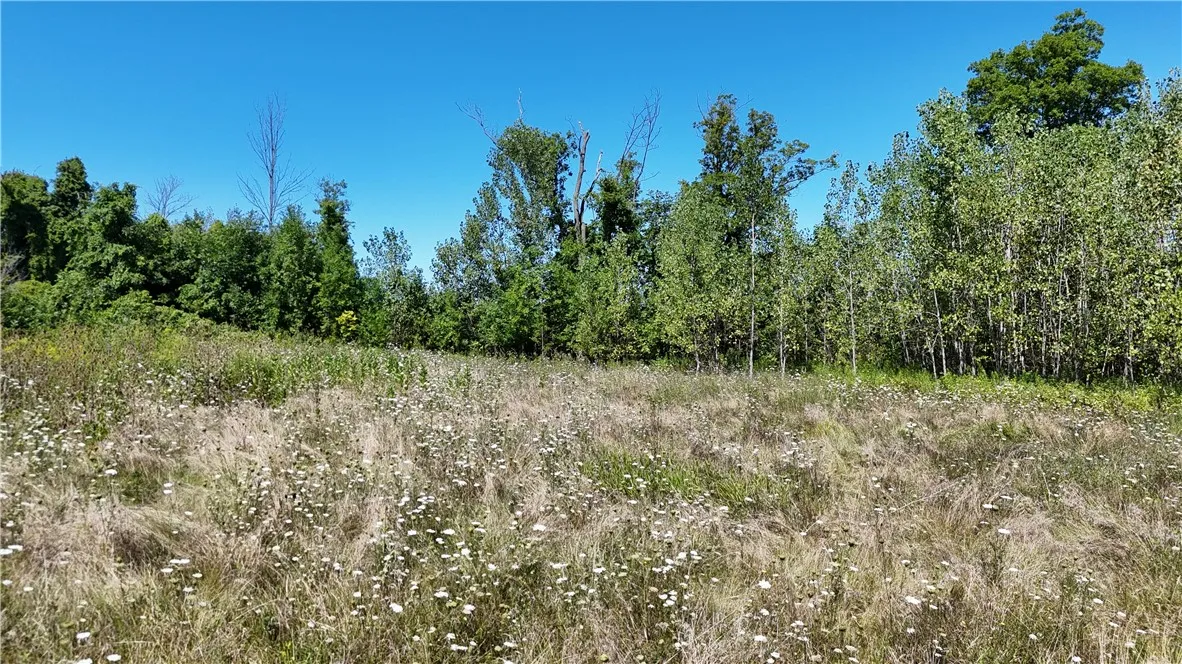 904 Hilton Parma Corners Road, Parma, New York 144, Parma, New York 14468, ,Land,For Sale,904 Hilton Parma Corners Road, Parma, New York 144,R1633035