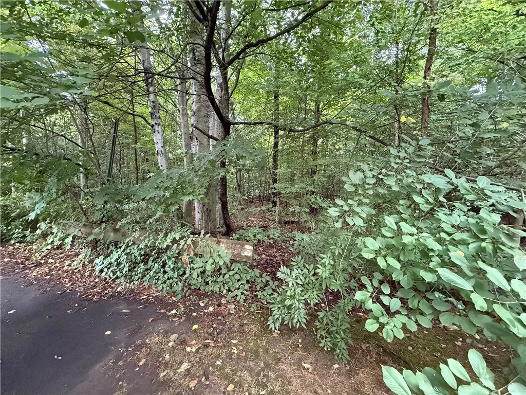 904 Hilton Parma Corners Road, Parma, New York 144, Parma, New York 14468, ,Land,For Sale,904 Hilton Parma Corners Road, Parma, New York 144,R1633035