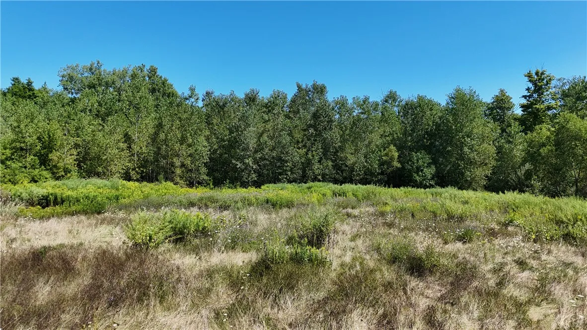 904 Hilton Parma Corners Road, Parma, New York 144, Parma, New York 14468, ,Land,For Sale,904 Hilton Parma Corners Road, Parma, New York 144,R1633035