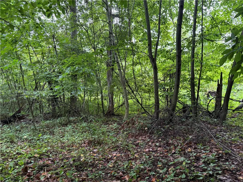 904 Hilton Parma Corners Road, Parma, New York 144, Parma, New York 14468, ,Land,For Sale,904 Hilton Parma Corners Road, Parma, New York 144,R1633035