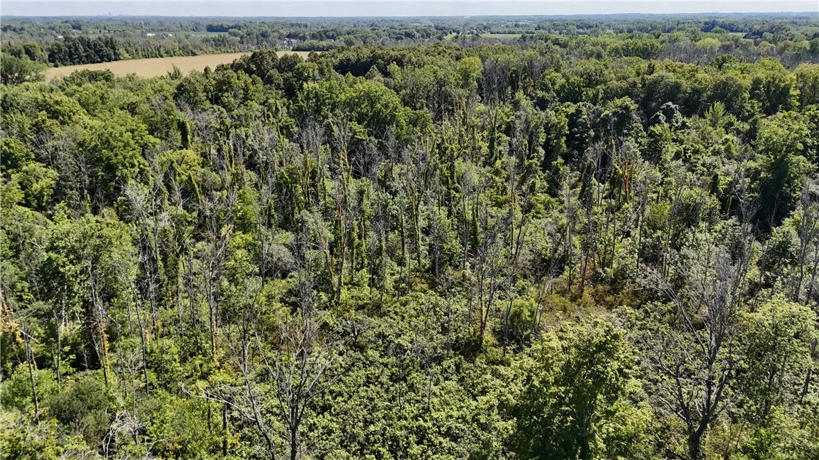 904 Hilton Parma Corners Road, Parma, New York 144, Parma, New York 14468, ,Land,For Sale,904 Hilton Parma Corners Road, Parma, New York 144,R1633035