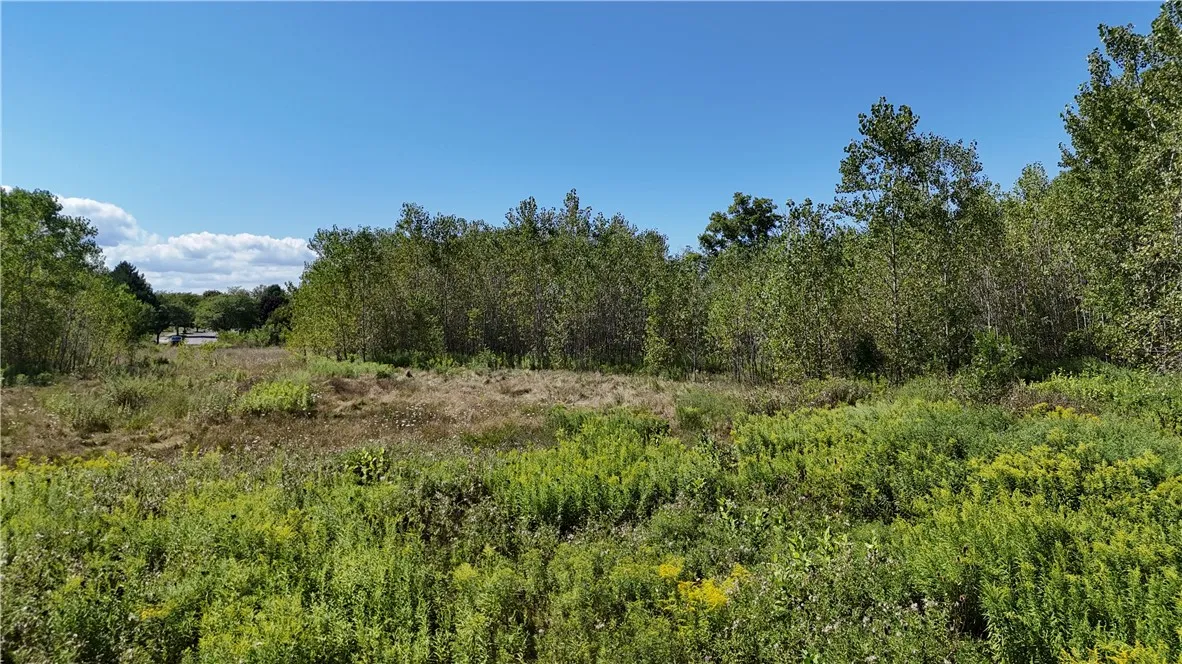 904 Hilton Parma Corners Road, Parma, New York 144, Parma, New York 14468, ,Land,For Sale,904 Hilton Parma Corners Road, Parma, New York 144,R1633035