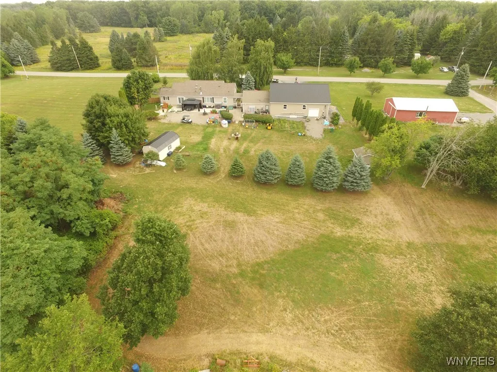 Back yard facing Sweetland rd. (red barn is neighbors)