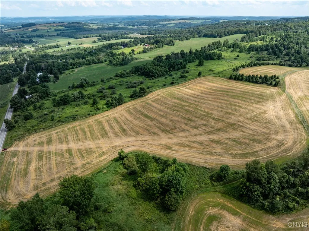 Cody Road, Fenner, New York 13035, Fenner, New York 13035, ,Land,For Sale,Cody Road, Fenner, New York 13035,S1630362