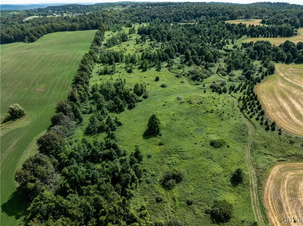 Cody Road, Fenner, New York 13035, Fenner, New York 13035, ,Land,For Sale,Cody Road, Fenner, New York 13035,S1630362