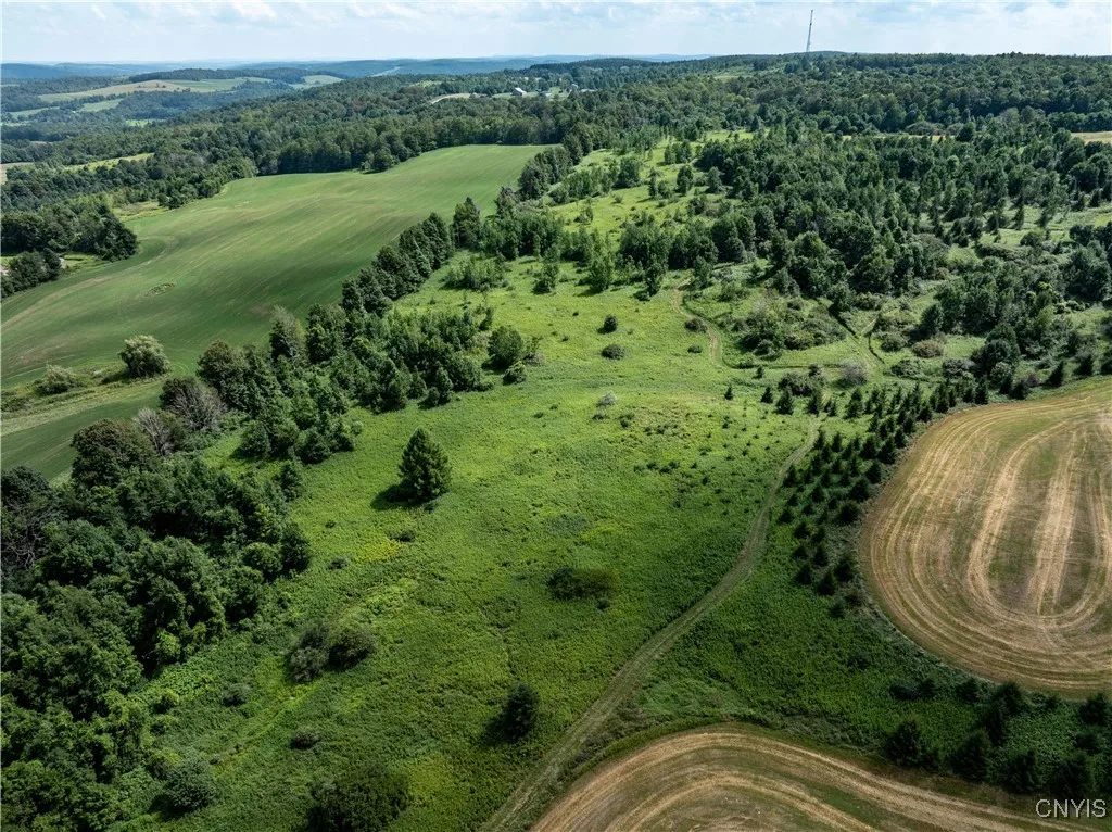 Cody Road, Fenner, New York 13035, Fenner, New York 13035, ,Land,For Sale,Cody Road, Fenner, New York 13035,S1630362