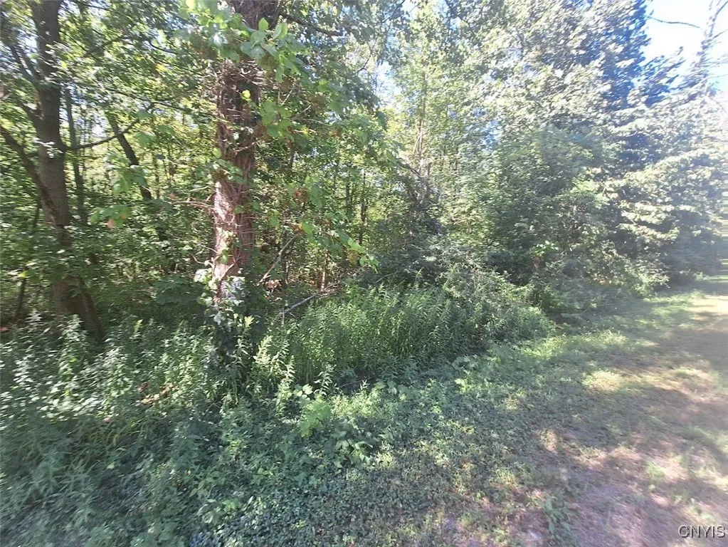 787 Dutch Hill Road, Frankfort, New York 13340, Frankfort, New York 13340, ,Land,For Sale,787 Dutch Hill Road, Frankfort, New York 13340,S1631214