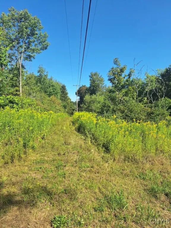 787 Dutch Hill Road, Frankfort, New York 13340, Frankfort, New York 13340, ,Land,For Sale,787 Dutch Hill Road, Frankfort, New York 13340,S1631214