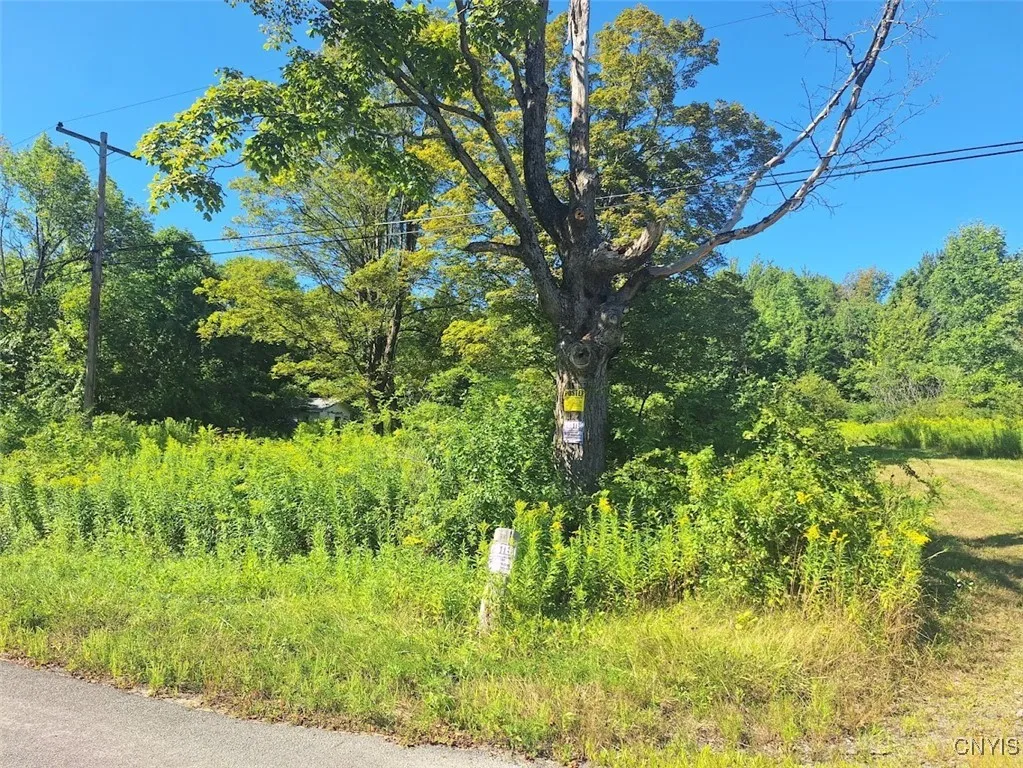 787 Dutch Hill Road, Frankfort, New York 13340, Frankfort, New York 13340, ,Land,For Sale,787 Dutch Hill Road, Frankfort, New York 13340,S1631214