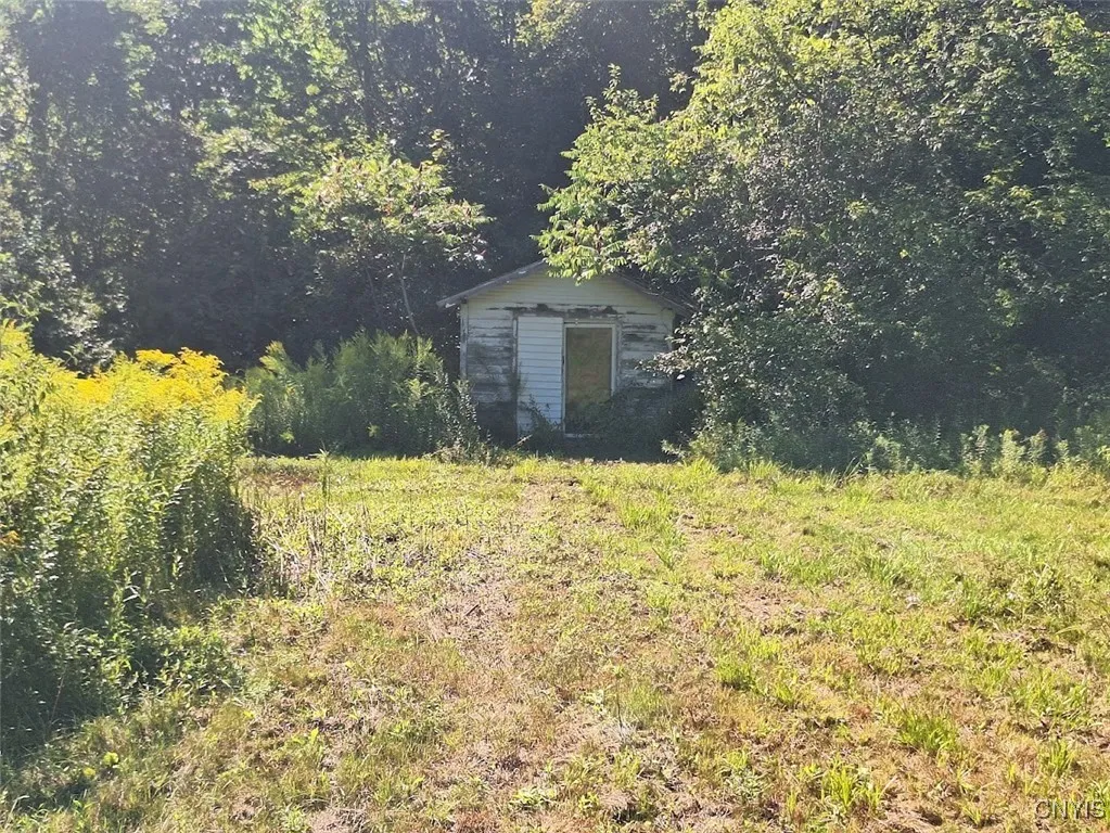 787 Dutch Hill Road, Frankfort, New York 13340, Frankfort, New York 13340, ,Land,For Sale,787 Dutch Hill Road, Frankfort, New York 13340,S1631214