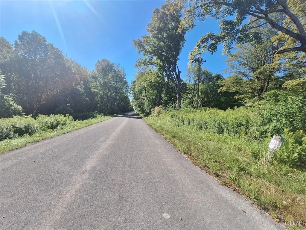 787 Dutch Hill Road, Frankfort, New York 13340, Frankfort, New York 13340, ,Land,For Sale,787 Dutch Hill Road, Frankfort, New York 13340,S1631214