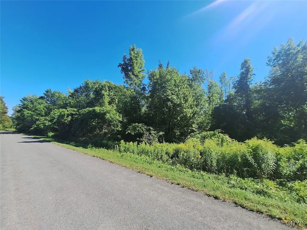 787 Dutch Hill Road, Frankfort, New York 13340, Frankfort, New York 13340, ,Land,For Sale,787 Dutch Hill Road, Frankfort, New York 13340,S1631214