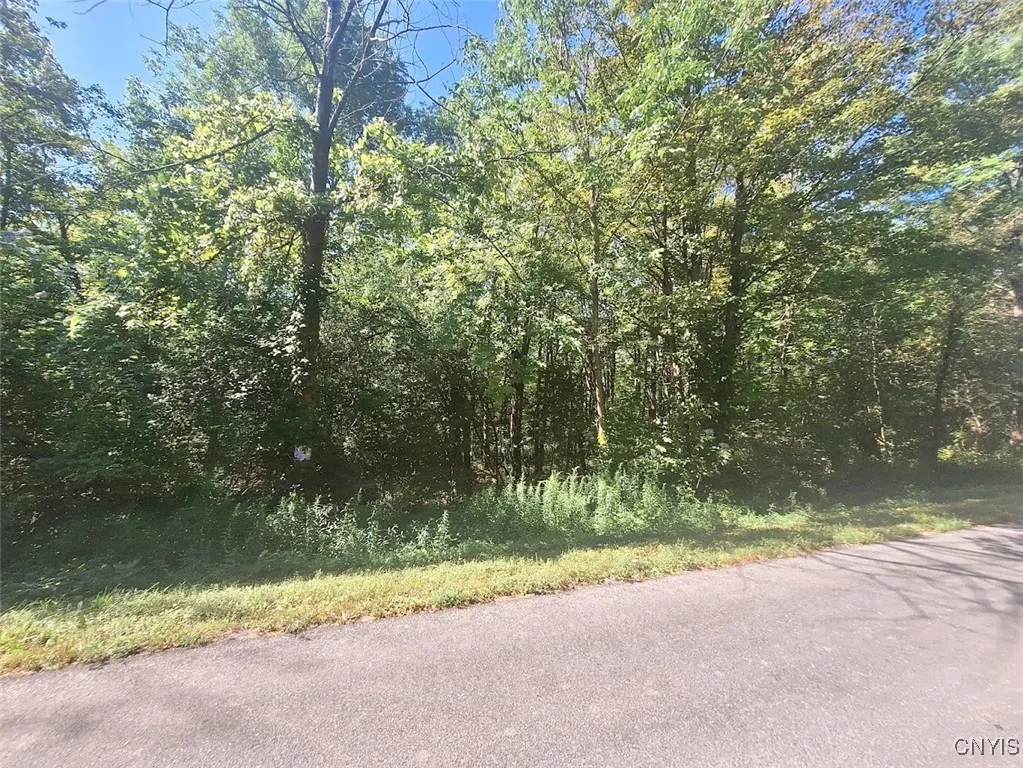 787 Dutch Hill Road, Frankfort, New York 13340, Frankfort, New York 13340, ,Land,For Sale,787 Dutch Hill Road, Frankfort, New York 13340,S1631214