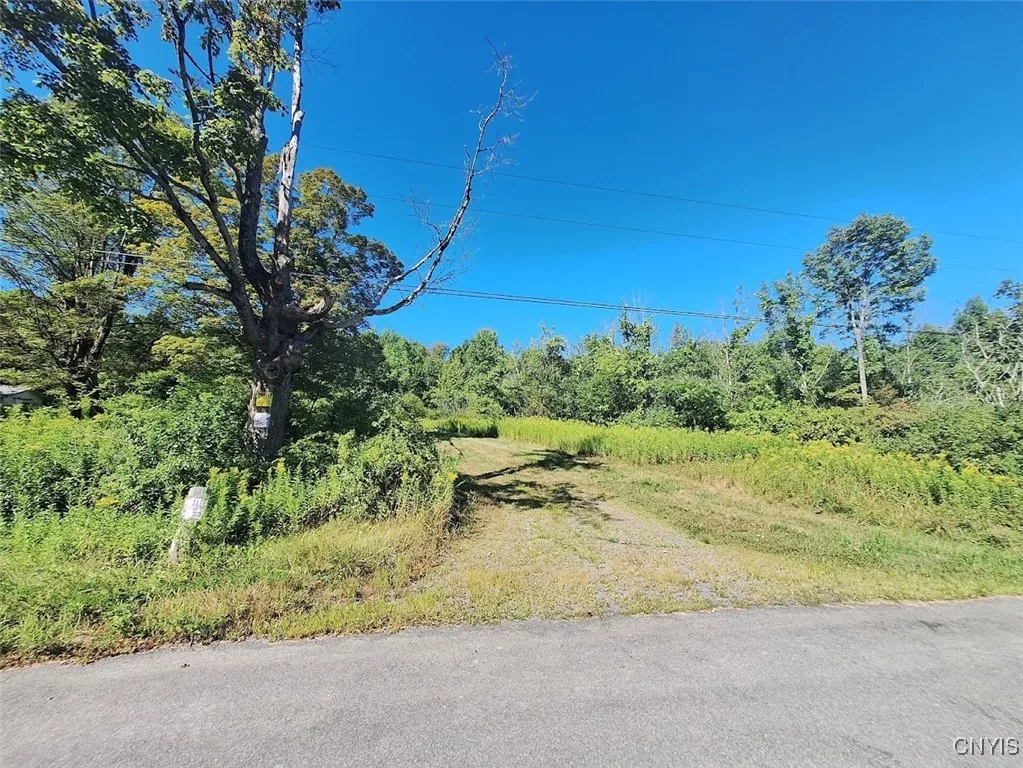 787 Dutch Hill Road, Frankfort, New York 13340, Frankfort, New York 13340, ,Land,For Sale,787 Dutch Hill Road, Frankfort, New York 13340,S1631214