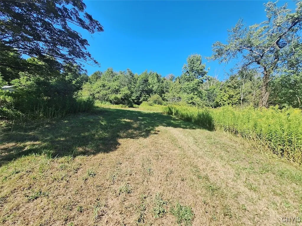 787 Dutch Hill Road, Frankfort, New York 13340, Frankfort, New York 13340, ,Land,For Sale,787 Dutch Hill Road, Frankfort, New York 13340,S1631214