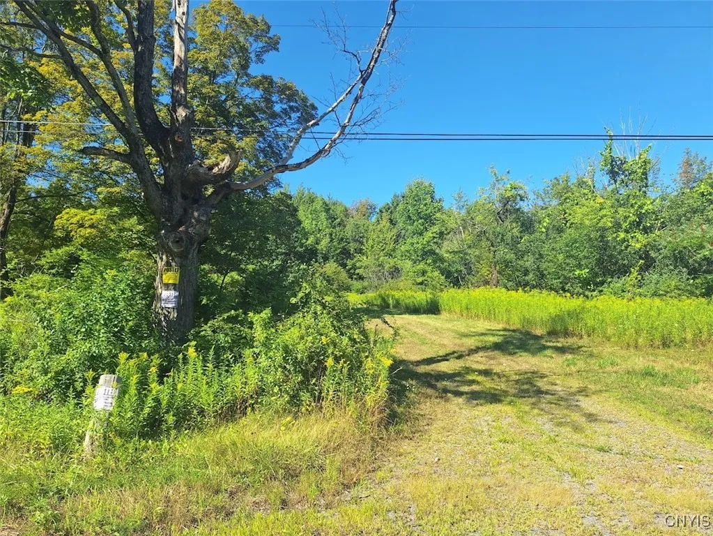 787 Dutch Hill Road, Frankfort, New York 13340, Frankfort, New York 13340, ,Land,For Sale,787 Dutch Hill Road, Frankfort, New York 13340,S1631214
