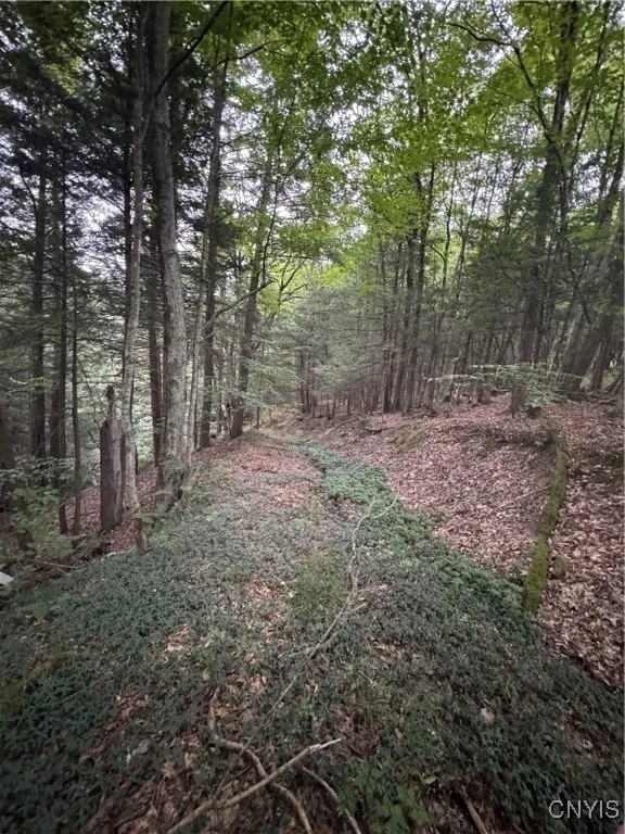 9279 Hayes Road, Marcy, New York 13403, Marcy, New York 13403, 3 Bedrooms Bedrooms, 7 Rooms Rooms,2 BathroomsBathrooms,Residential,For Sale,9279 Hayes Road, Marcy, New York 13403,S1633076