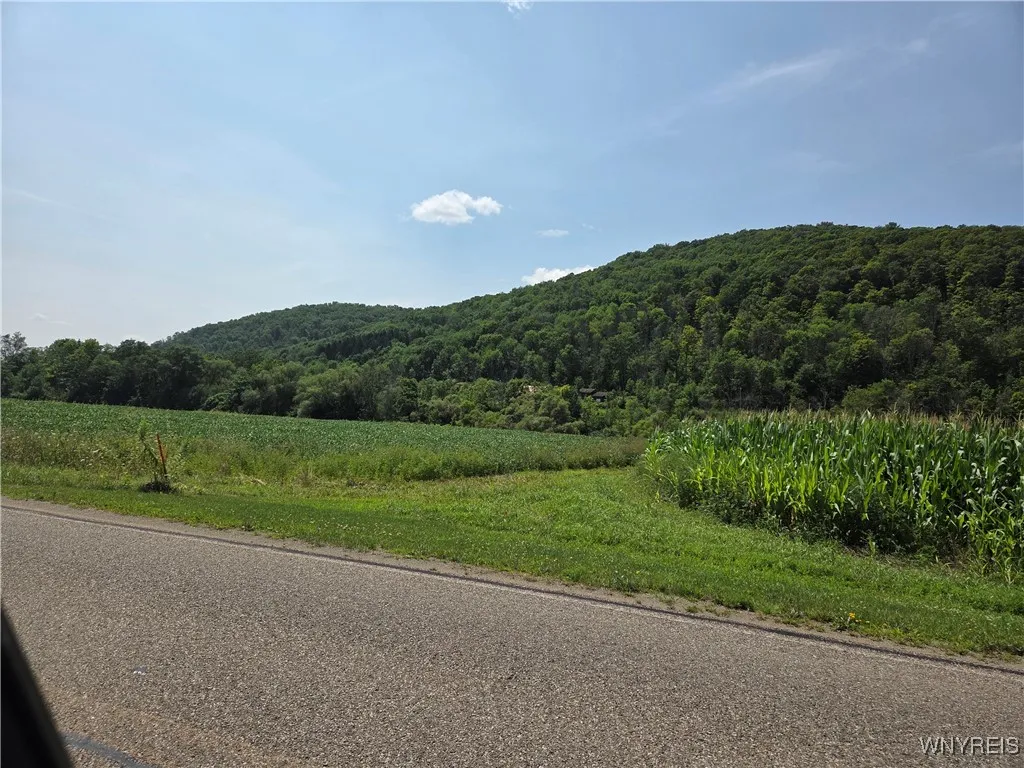 Martin Road, Great Valley, New York 14741, Great Valley, New York 14741, ,Land,For Sale,Martin Road, Great Valley, New York 14741,B1633130