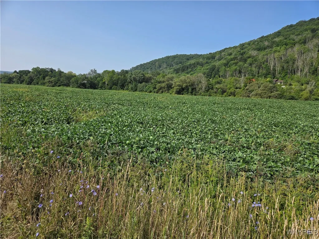 Martin Road, Great Valley, New York 14741, Great Valley, New York 14741, ,Land,For Sale,Martin Road, Great Valley, New York 14741,B1633130