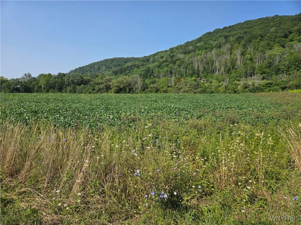 Martin Road, Great Valley, New York 14741, Great Valley, New York 14741, ,Land,For Sale,Martin Road, Great Valley, New York 14741,B1633130