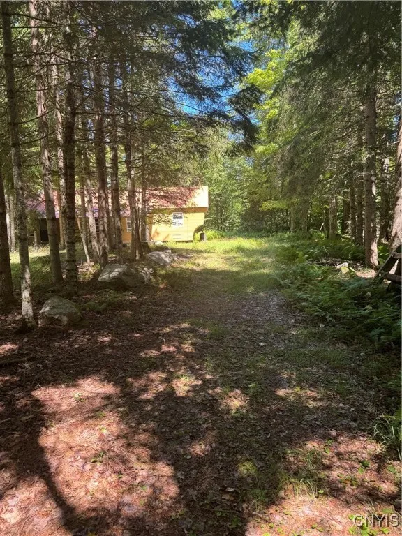 Meyers Hill Road, Forestport, New York 13338, Forestport, New York 13338, 2 Bedrooms Bedrooms, ,Land,For Sale,Meyers Hill Road, Forestport, New York 13338,S1633086