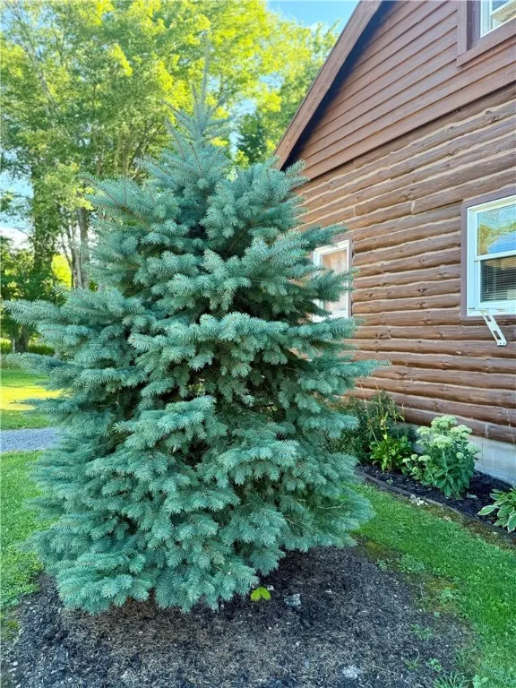 1294 Dutch Hill Road, Stamford, New York 13757, Meredith, New York 13757, 3 Bedrooms Bedrooms, 5 Rooms Rooms,1 BathroomBathrooms,Residential Lease,For Rent,1294 Dutch Hill Road, Stamford, New York 13757,R1633080