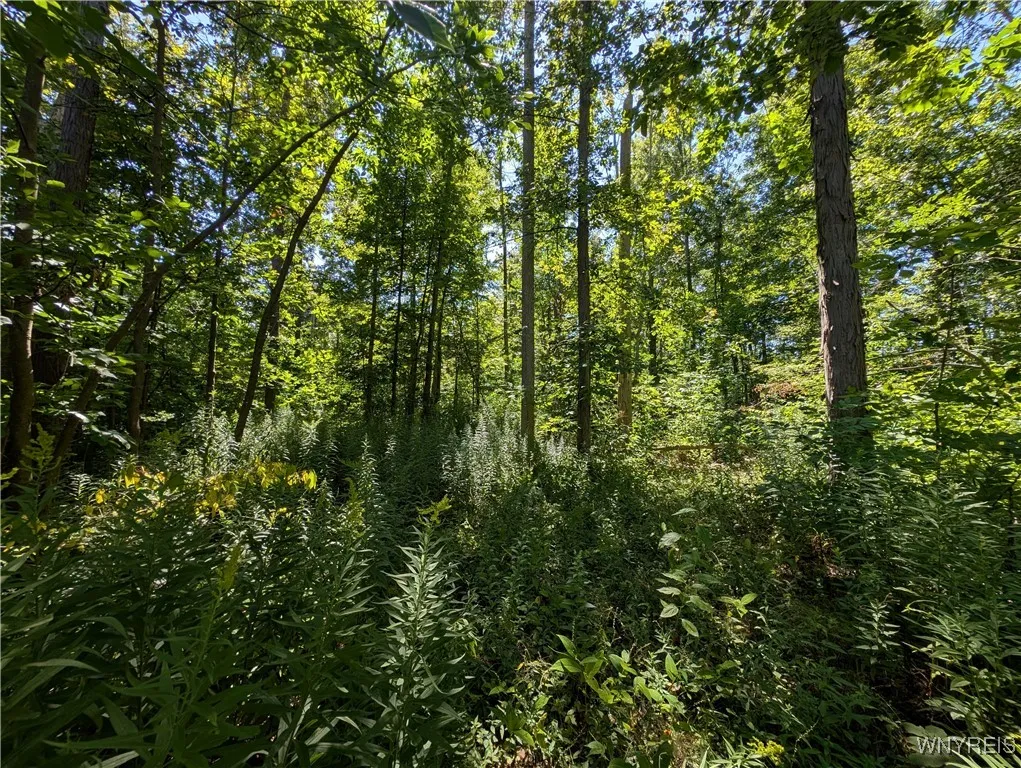 Lake Shore Road, Hamburg, New York 14075, Hamburg, New York 14075, ,Land,For Sale,Lake Shore Road, Hamburg, New York 14075,B1632736
