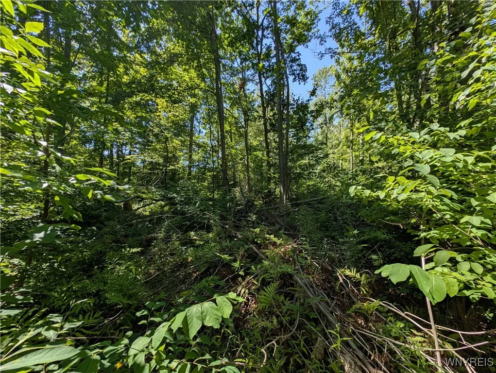 Lake Shore Road, Hamburg, New York 14075, Hamburg, New York 14075, ,Land,For Sale,Lake Shore Road, Hamburg, New York 14075,B1632736