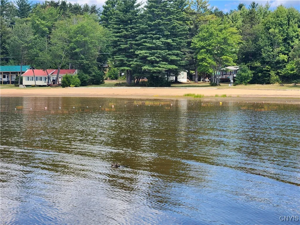 beach from the Lake