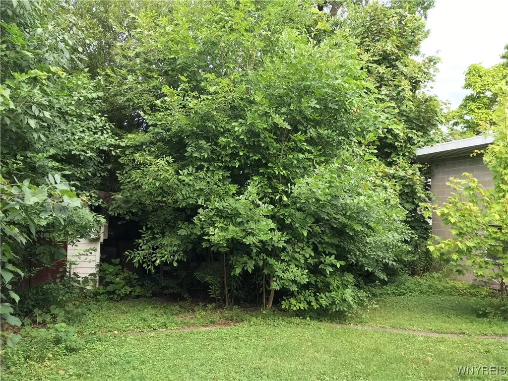 5936 Dover Road, Hamburg, New York 14085, Hamburg, New York 14085, 3 Bedrooms Bedrooms, 6 Rooms Rooms,1 BathroomBathrooms,Residential,For Sale,5936 Dover Road, Hamburg, New York 14085,B1632757