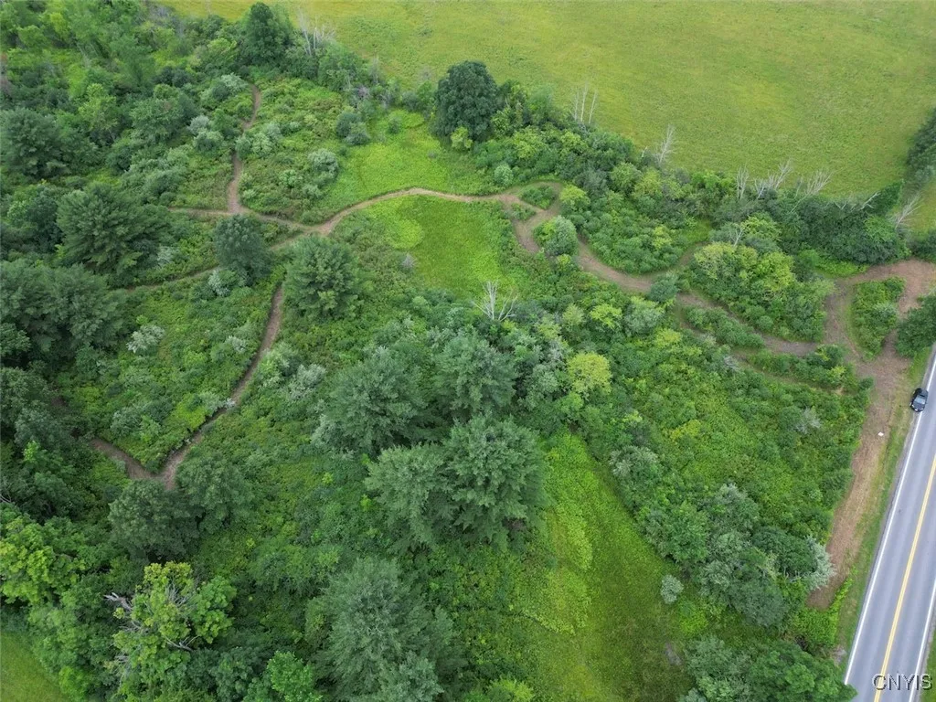 County Road 114, Wayne, New York 14840, Wayne, New York 14840, ,Land,For Sale,County Road 114, Wayne, New York 14840,S1633196