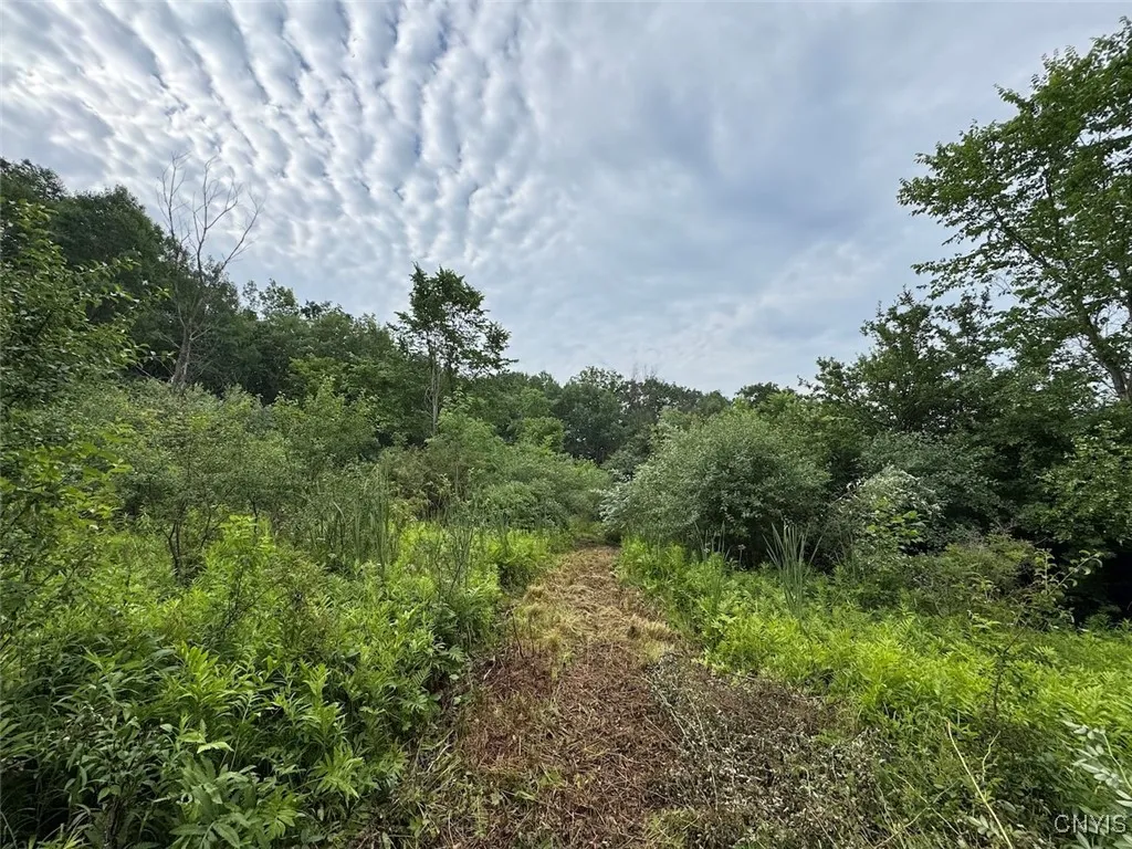 County Road 114, Wayne, New York 14840, Wayne, New York 14840, ,Land,For Sale,County Road 114, Wayne, New York 14840,S1633196