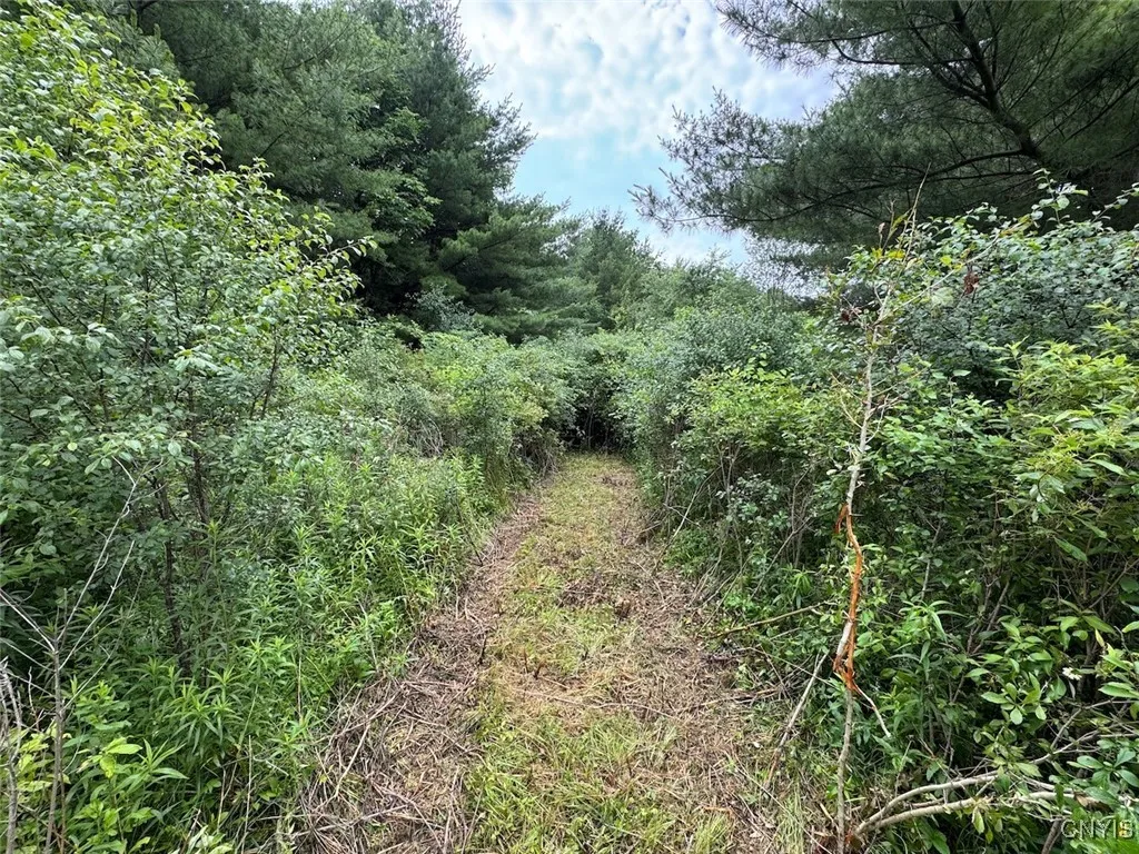 County Road 114, Wayne, New York 14840, Wayne, New York 14840, ,Land,For Sale,County Road 114, Wayne, New York 14840,S1633196