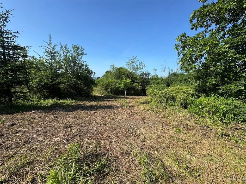 County Road 114, Wayne, New York 14840, Wayne, New York 14840, ,Land,For Sale,County Road 114, Wayne, New York 14840,S1633196